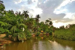 AbCa's Creek Lodge - Bintang - 4