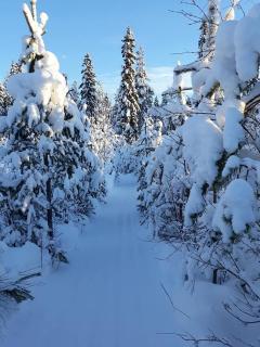 Fredsberg Apartments - 3