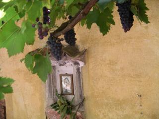 Casa 1659 - Casa Parrucchiere - 0