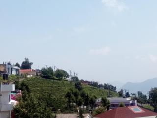 Dream Nest Resorts - 1