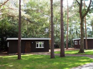 California Chalet & Touring Park - Wokingham - 0