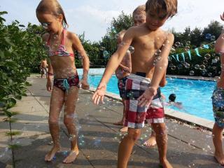 Camping Gorishoek - Scherpenisse - 4