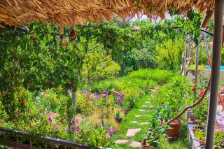 Ashot & Gohar B&B - Chʼiva - 1