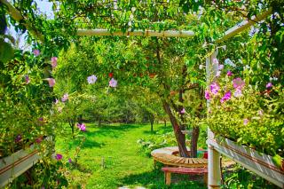 Ashot & Gohar B&B - Chʼiva - 7