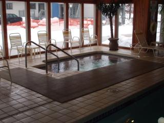 Caribbean Club Resort - Wisconsin Dells - 4
