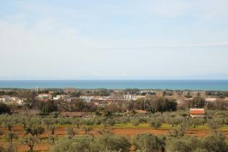 Agriturismo San Gregorio - San Vincenzo - 6