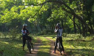 Moonshadow - Sungai Kolok - 8