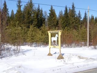 Northern Lights Lapland Villa - 5