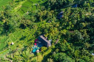 Adiwana Dara Ayu Villas - Payangan - 7