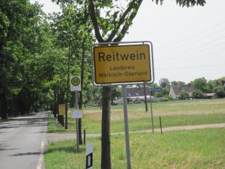 Pension Zum weißen Hirsch - Reitwein - 5