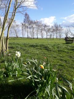 Bingers kleine Scheune - Willich - 1