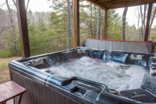 Bearadise Lodge - Morganton - 1