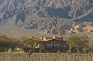 La Casa De La Bodega - Wine Boutique Hotel - Cafayate - 3