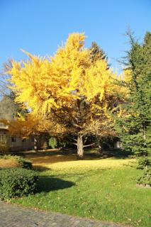 Apartmány Hillfort - 2