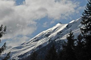 Lärchenhütte - Stall - 3