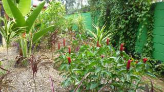 Kekemba Apartments Paramaribo - 3