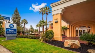 Best Western Palm Court Inn - Modesto - 3