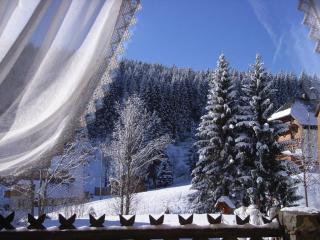 Schwarzwald-Hotel Kraeutle - 2
