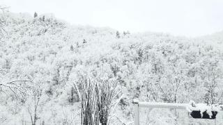 Skymist Maison d'hôtes - 9