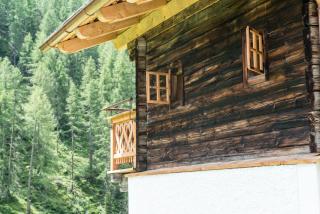 Giatla Hof der Alfenalm - Ferienwohnungen am Berg - Innervillgraten - 6