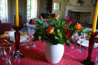 Manoir de la Pataudière B&B - Villers-Canivet - 1