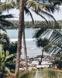 Surf Home Stay Hiriketiya - Hiriketiya - 9