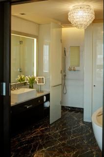 Park Hyatt Hotel and Residences, Hyderabad - Haiderabad - 4