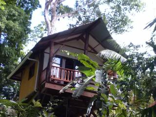 Chalet Tropical - Bocas del Toro - 9