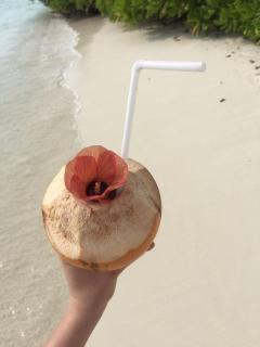 Alesara Guest House - 1