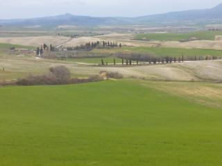 Agriturismo Colombaiolo - Pienza - 3