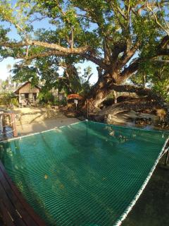 Turtle Bay Beach House - Saraotou - 1