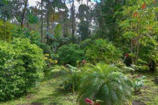 Tropical Anuenue Cottage - Keaau - 6