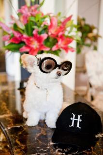 The Hughenden Boutique Hotel - Sídney - 2