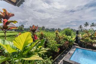 Pondok Anastasia - Ubud - 3