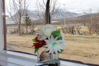 Guesthouse Mora - 1