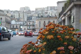 Giò House - Modica - 0
