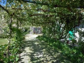 Agriturismo Cascina Serra - Cossano Belbo - 7