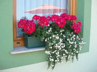 Motel Divjak - Spodnje Hoče - 4