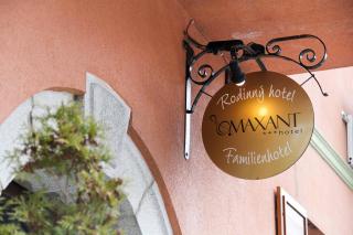 Hotel Maxant - Frymburk nad Vltavou - 1