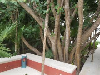 Casa Azul - Akumal - 0
