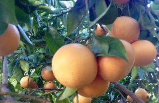 Villa Prétorina - 2