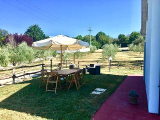 La Goiaba B&B - Senigallia - 3