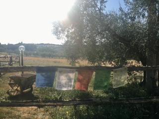 La Goiaba B&B - Senigallia - 4