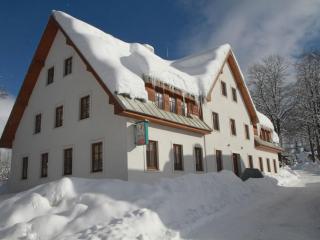 Apartment Near Ski Slopes - 5