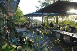 Parkhotel Schillerhöhe - Marbach am Neckar - 4