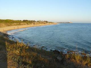 Villa Malyma beach front 10,000m2 botanic garden - Zahora - 1