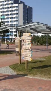 Ostseemuschel - Damp - 6