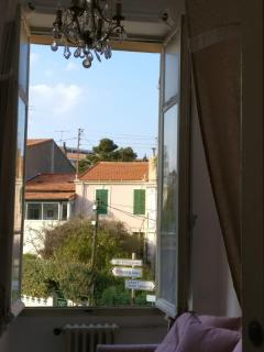 Parc CONTINENTAL - Cannes - 5