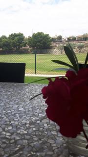Bungalow Illeta Golf Bonalba - Mutxamel - 2