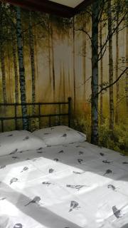 Vinkenhof 6-8 personen - Baarle-Nassau - 7